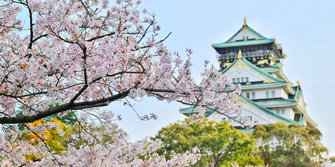 pexels-photo-1440476